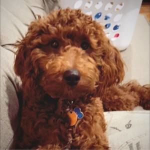 Meet your Posher, Stan jamie